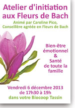 Initiation aux Fleurs de Bach Lyon