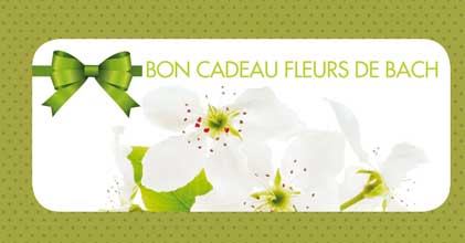 Illustration bon cadeau fleurs de Bach